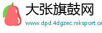 大张旗鼓网